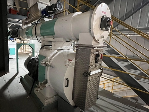 máquina de molino de pellet de alimentación