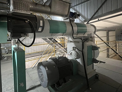máquina de molino de pellet de alimentación