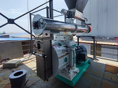 máquina de molino de pellet de alimentación