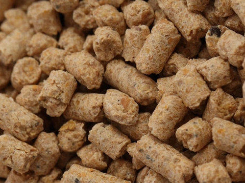 máquina de molino de pellet de alimentación