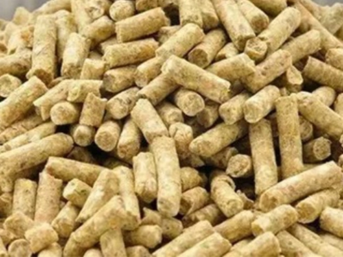 máquina de molino de pellet de alimentación