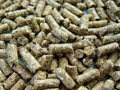 máquina de molino de pellet de alimentación