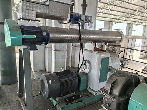 máquina de molino de pellet de alimentación