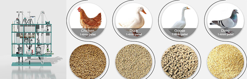 máquinas_de_molienda_de_alimentos_para_aves_de_corral (1)