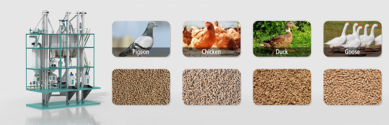 máquinas_de_molienda_de_alimentos_para_aves_de_corral (2)