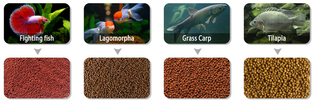 Proveedor_de_máquinas_flotantes_de_alimentación_para_peces_de_tipo_húmedo
