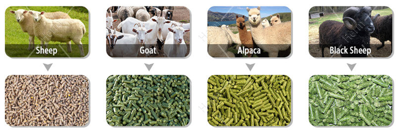 Planta_de_la_fábrica_de_alimentos_para_animales_de_Arabia_Saudita