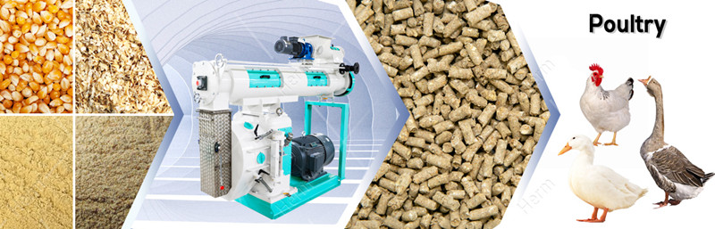 350_feed_pellet_machine_supplier