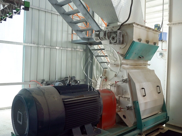 Mercado de Alimentos para Animales en Argelia: Demanda, Importaciones y Oportunidades Futuras