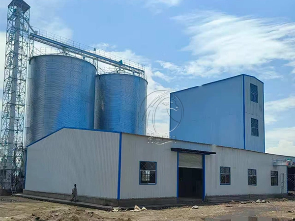 Preguntas clave a considerar antes de construir un molino de alimento: una guía profesional