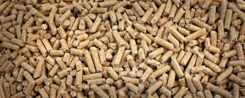 Principales empresas de piensos para animales en Argelia