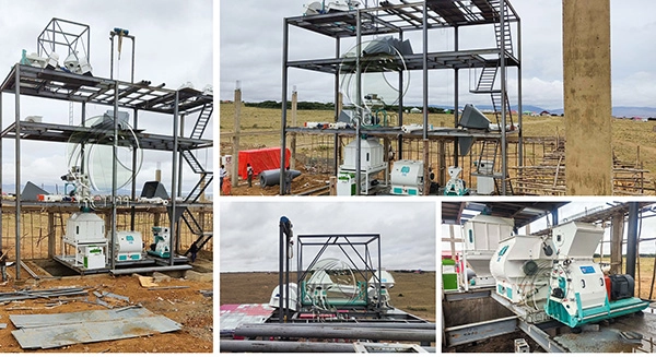 costo de inversión de molino de alimento en Argelia