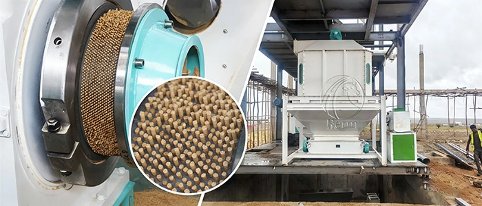 costo de inversión de molino de alimento en Argelia