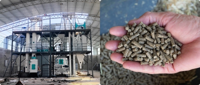 costo de planta de molino de alimento