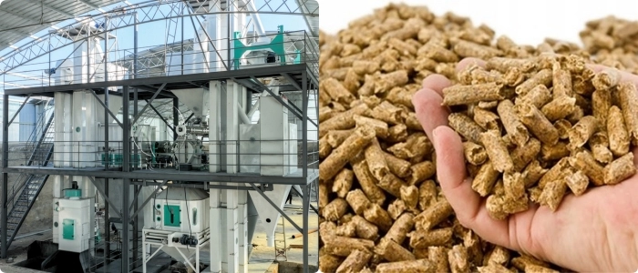 costo de planta de molino de alimento