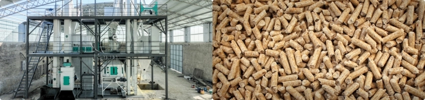 costo de planta de molino de alimento