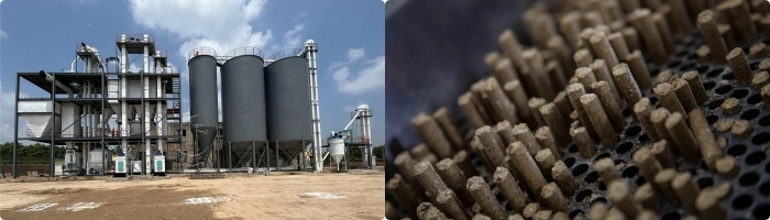 costo de planta de molino de alimento