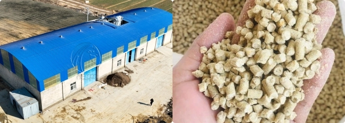 costo de planta de molino de alimento