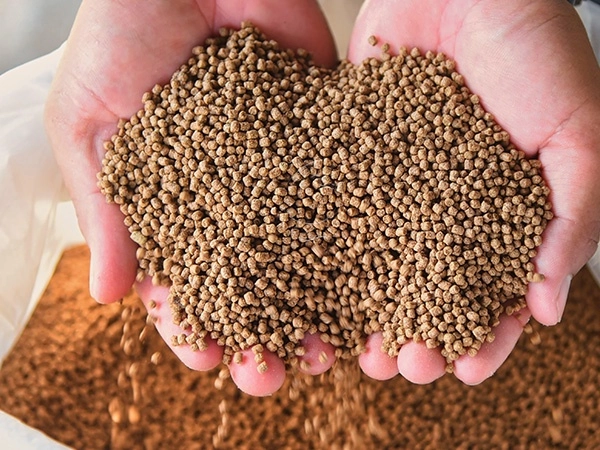 Pequenos_Pelets_Marrones_De_Alimento_Sostenidos_Con_Ambas_Manos