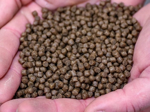 Punado_De_Pequenos_Pelets_De_Alimento_Acuatico
